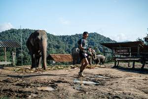 BIB: 
                            <button type="button" onclick="openModal(22423621)" class="btn btn-primary btn-sm float-right btn-popup" data-toggle="modal" data-target=".modal-high-quality">
                        <i class="fas fa-shopping-cart"></i> Add to Cart
                    </button>
                                            <button type="button" onclick="isThisMe(22423621, true)" class="btn btn-success btn-sm float-right btn-popup btn-isme hidden" data-toggle="tooltip" data-placement="bottom" title="นี่คือรูปของคุณใช่ไหม คลิกที่นี่เพื่อเอาเข้าอัลบั้ม">
                        <i class="fas fa-plus"></i> Add to album
                    </button>
                    <button type="button" onclick="isThisMe(22423621, false)" class="btn btn-warning btn-sm float-right btn-popup btn-isnotme hidden">
                        <i class="fas fa-ban"></i> Remove from album
                    </button>